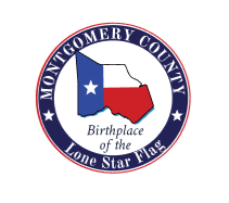Lone star logo | itvibes