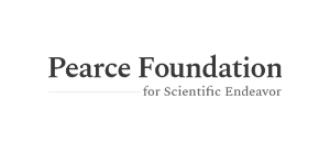 Peace foundation | itvibes