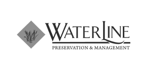 Waterline | itvibes