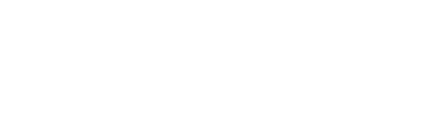 Seo Agency