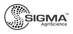 Sigma | itvibes