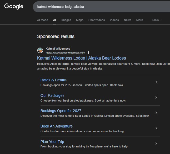How Google Search Ads Work