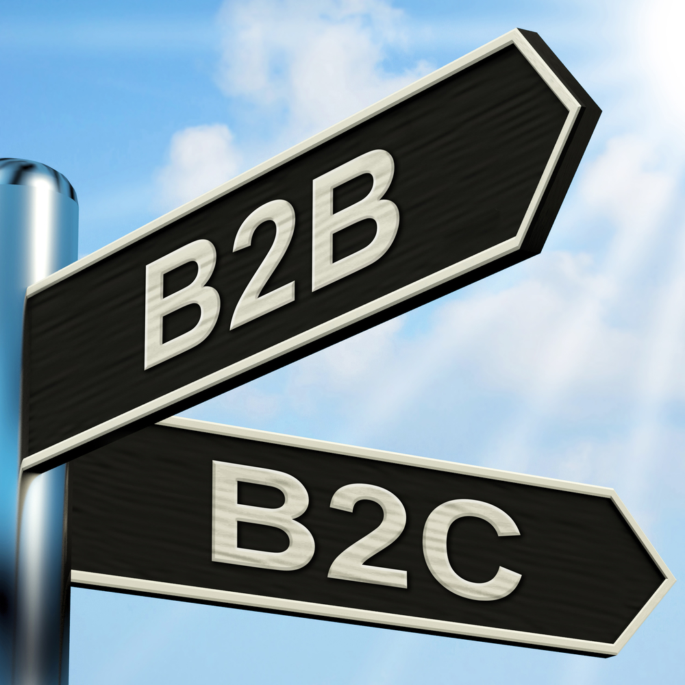 B2B and B2C Marketing Automation, ITVibes B2B and B2C Marketing Automation, ITVibes