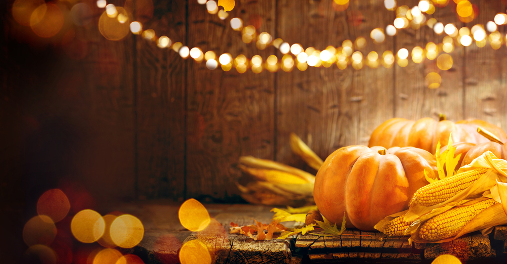 Happy Thanksgiving from ITVibes!