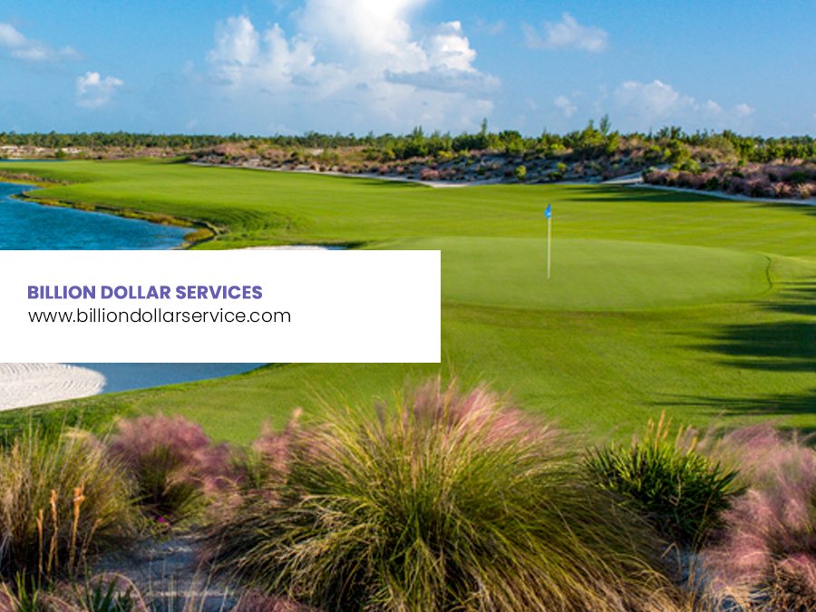 Billion Dollar Services