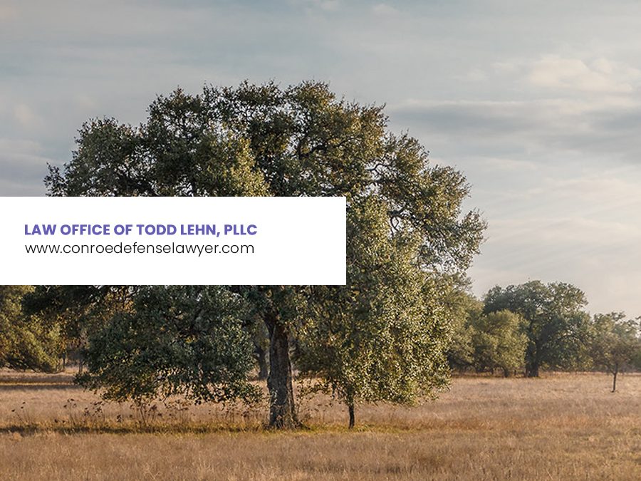 Law Office of Todd Lehn, PLLC