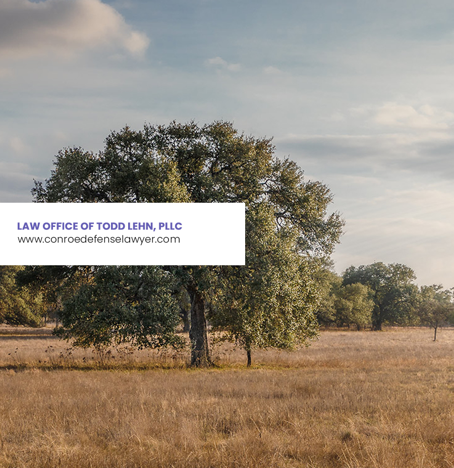 Law Office of Todd Lehn, PLLC