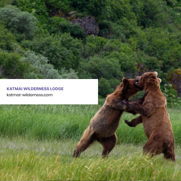 Katmai Wilderness Lodge